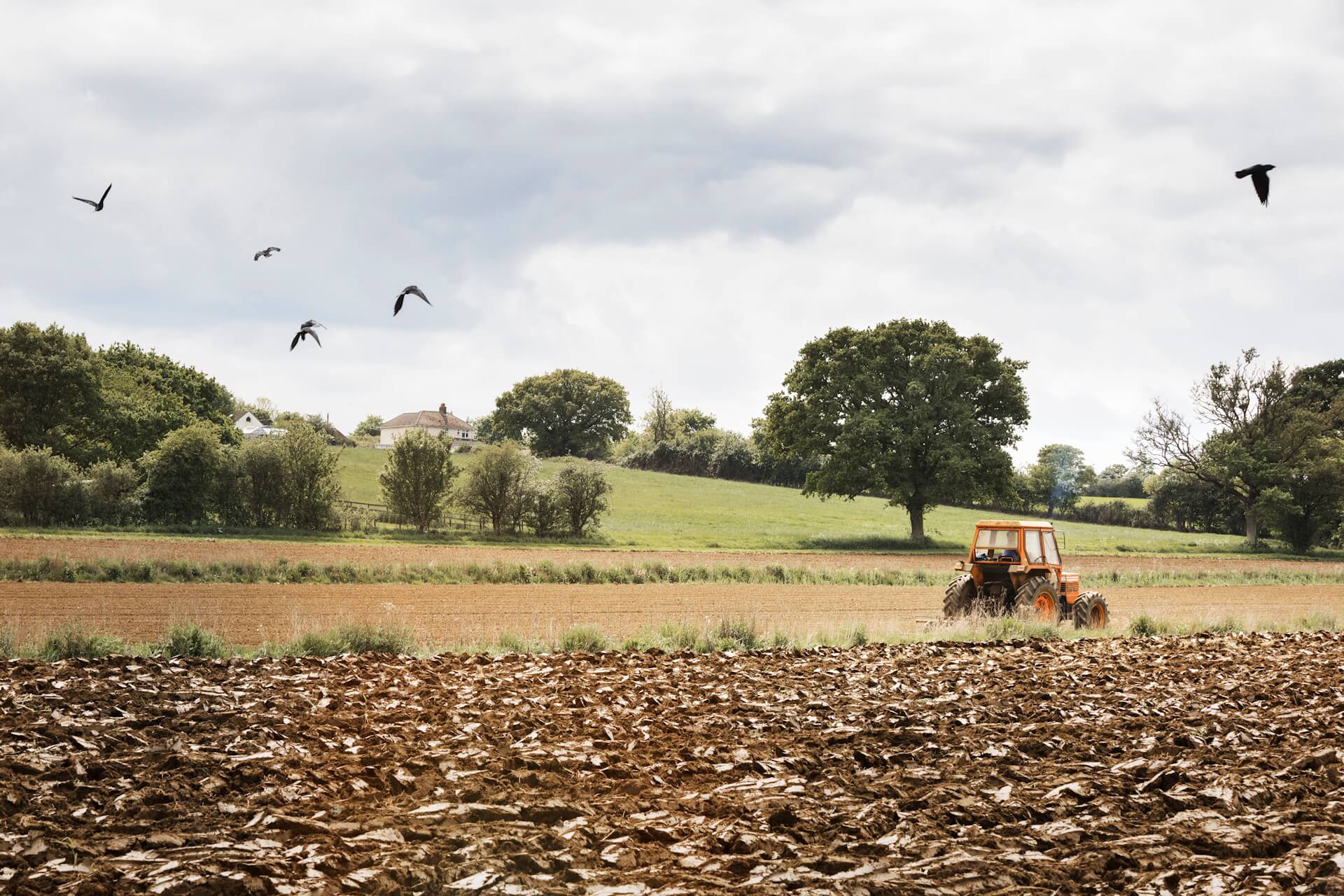 Projet Ferme des Amandiers