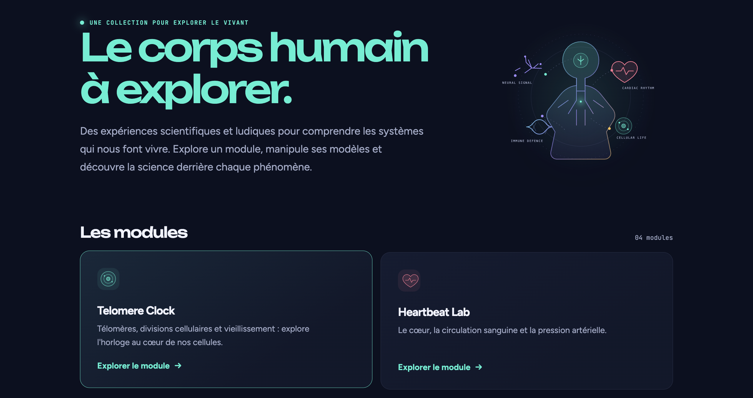Human Body bilingual portal introducing interactive science modules about the human body