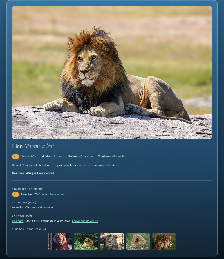 World Wild Life lion species detail page